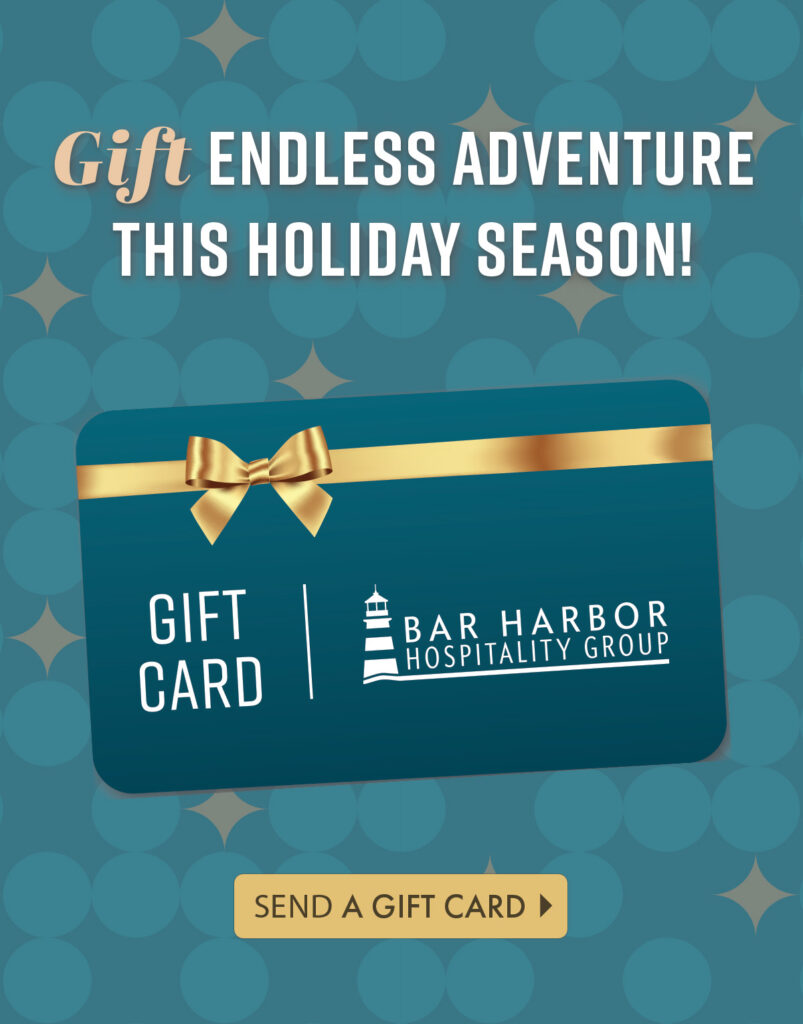 Gift Endless Adventure with a Gift Card this Holiday Season