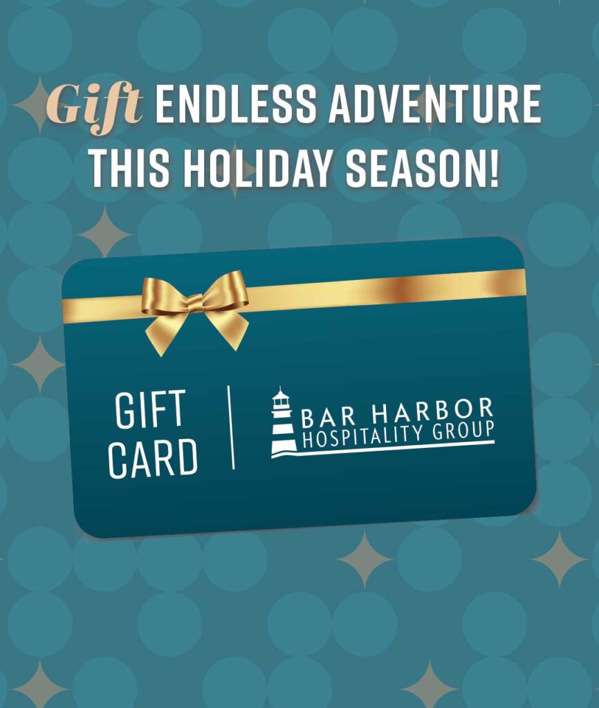 Gift Endless Adventure with a Gift Card this Holiday Season